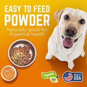 BACK 40 Dogs Pumpkin Powder for Dogs, Powdered Pumpkin for Dogs with Vitamins A, C & E, Fiber-Rich Vitamins for Optimal Pet Health, Combat Constipation, Dog Multivitamin for Digestive Health, 8.1 oz