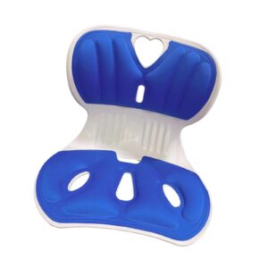 Lower Back Support Backrest Cushion Ergonomic Chair Posture Correction Attachment Sitting Back Posture Correction for Office Chairs Home Work, Blue