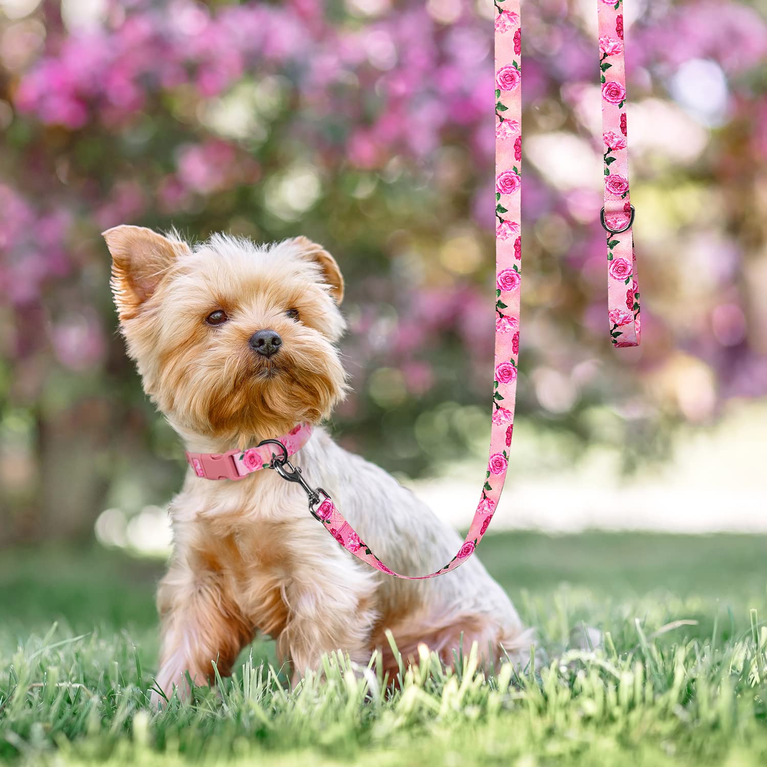 Pink Dog Leash Floral Cute Girl Dog Leash for Puppy,Small Breed Dogs 4 ft/Foot Dog Leash Hot Pink Dog Collar Harness and Leash Set