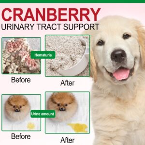 Oimmal Cranberry Bladder Health for Dogs