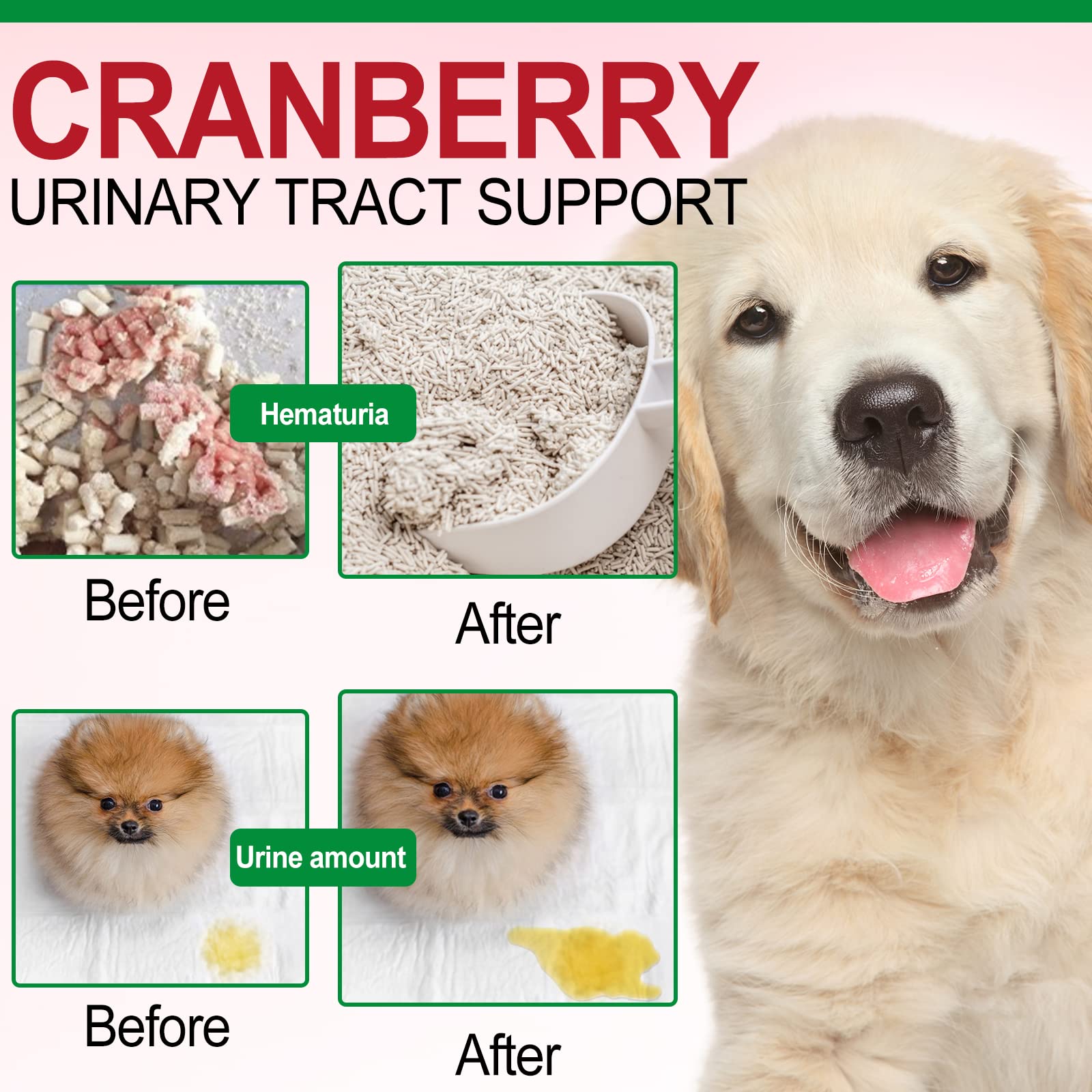 Oimmal Cranberry Bladder Health for Dogs