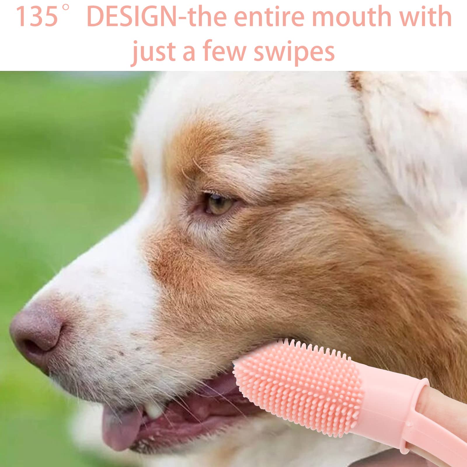 Koiernr Dog Toothbrush Kit, 6Pack Dog Finger Toothbrush for Dog Teeth Cleaning&Dog Dental Care, Cat Toothbrush Dog Tooth Brush Puppy Toothbrush Pet Toothbrush (Pink (6-Pack))