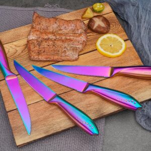 Rainbow Serrated Steak Knife 4 Piece Set, German High Carton Stainless Steel Blade for Home Restaurant