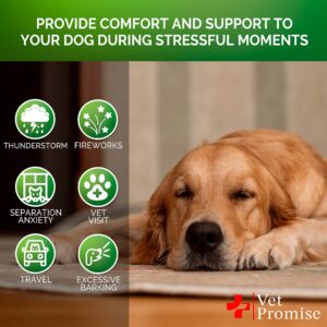 Hemp Calming Chews for Dogs with Anxiety and Stress - Dog Calming Treats - Dog Anxiety Relief - Separation - Travel - Barking - Melatonin for Dogs - Hemp Oil - Calming Treats for Dogs - 120 Treats