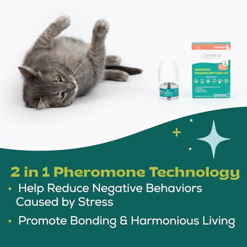 bSerene Advanced Pheromone Calming Solution for Cats 30-Day Diffuser Refill Helps Reduce Hiding, Scratching, Stress, Spraying for Single & Multi-Cat Homes, Promotes Bonding