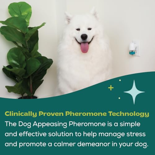 bSerene Pheromone Calming Solution for Dogs 30-Day Starter Kit: Plug-in Diffuser + Refill Helps Reduce Excessive Barking, Destruction, Stress, and Fear Great for Thunderstorms and Fireworks