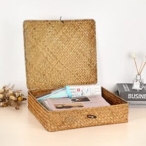 Hipiwe Flat Woven Wicker Basket Bins with Lid X-Large Natural Seagrass Storage Basket Box Multipurpose Household Basket Bins Boxes for Shelf Wardrobe Organizer, Caramel