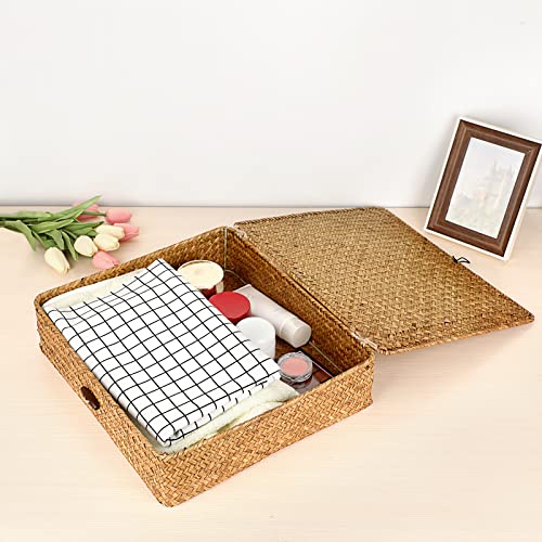 Hipiwe Flat Woven Wicker Basket Bins with Lid X-Large Natural Seagrass Storage Basket Box Multipurpose Household Basket Bins Boxes for Shelf Wardrobe Organizer, Caramel