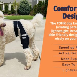 TOFIK Dog Knee Brace for Torn ACL Hind Leg – Premium Neoprene Dog Sling for Large Dogs Hind Leg Support – Washable and Reusable Dog Leg Brace with Flexible Springs (M, Silver)