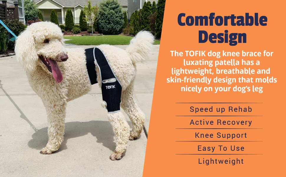 TOFIK Dog Knee Brace for Torn ACL Hind Leg – Premium Neoprene Dog Sling for Large Dogs Hind Leg Support – Washable and Reusable Dog Leg Brace with Flexible Springs (M, Silver)