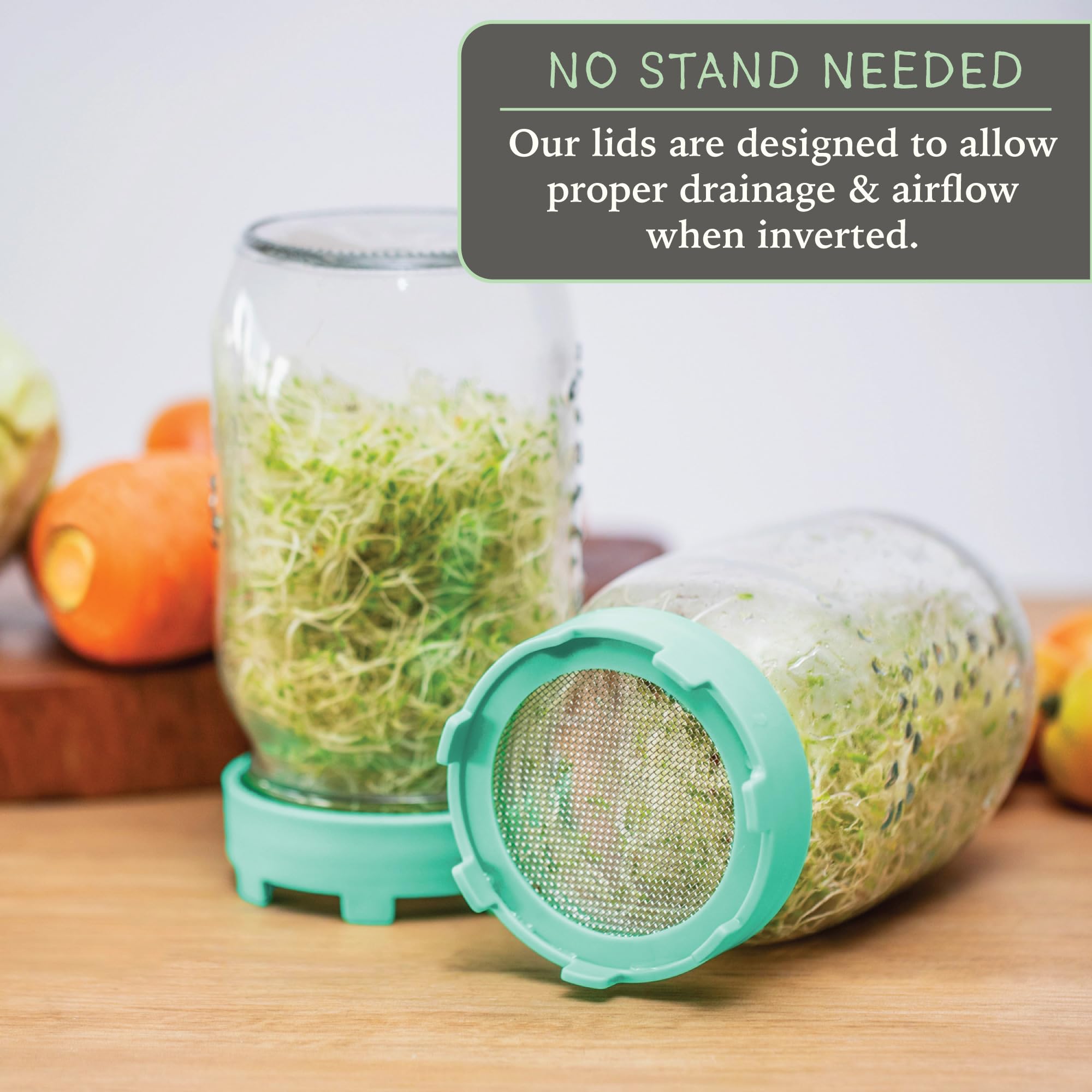 Elementi Sprouting Lids for Wide Mouth Mason Jars (Set of 2), Sprouting Jar Kit for Organic Sprouts, Alfalfa & Mung Bean Sprouts Grow Kit, 316 Stainless Steel Mesh Screen Strainer Lid (Mint Green)