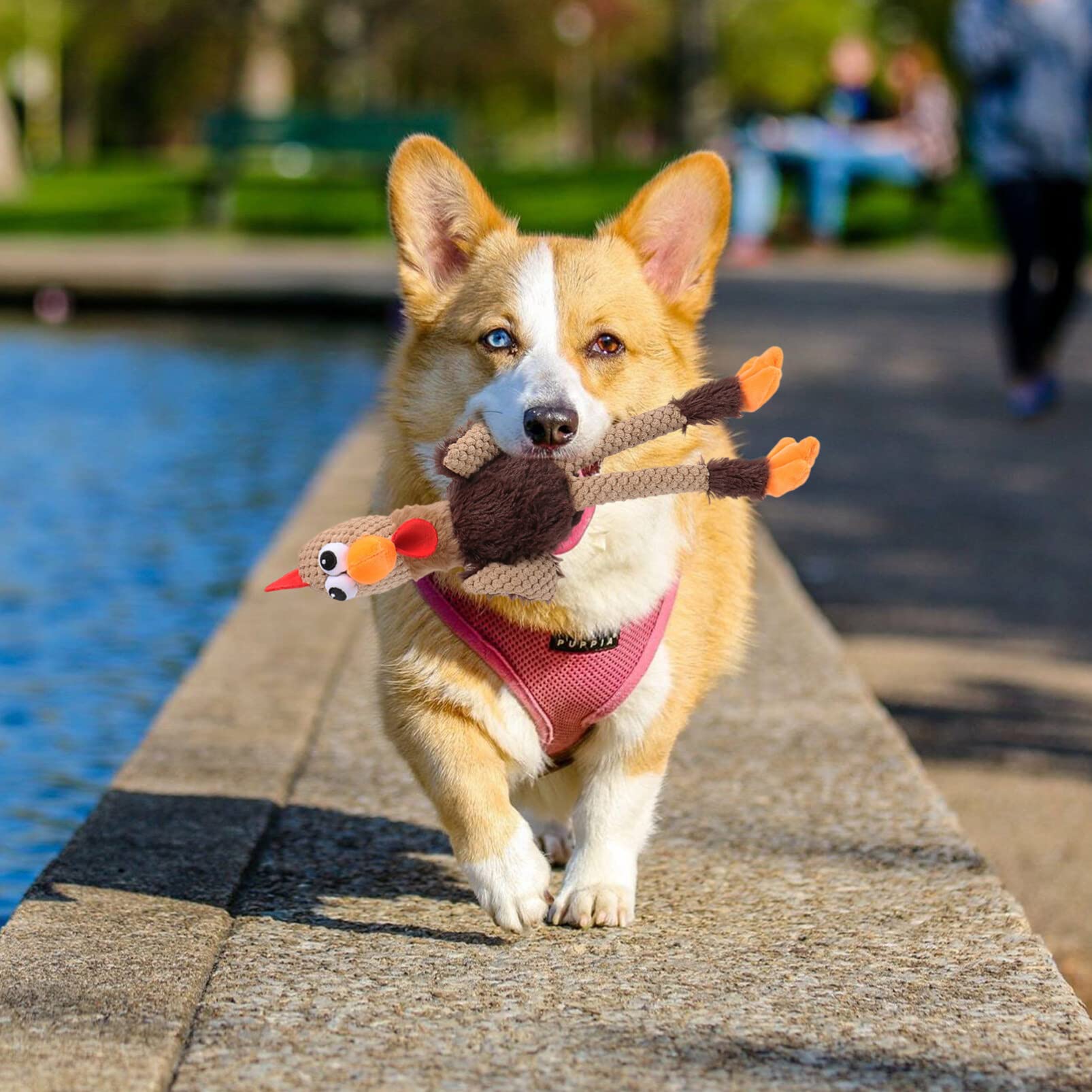 ibasenice Checkers Skinny Rooster Squeaky Plush Dog Toy Dog Fetching Toy Pet Chew Toy Dog Chew Molar Doll Pet Chew Molar Doll Dog Cat Chew Toy