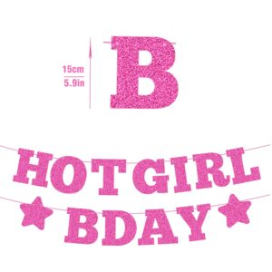 Hot Girl Glitter Birthday Banner - Hot Pink, Funny Birthday Party Decorations, Photo Backdrop, Pink 21st Birthday Decorations, 18th Birthday Decor, Birthday Gift for Her, Sweet 16 Birthday Banner