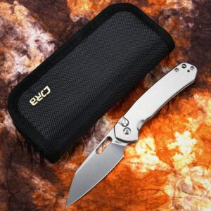 CJRB Pyrite-Alt (J1925A) Folding Pocket Knife with 3.11'' Stone Wash AR-RPM9 Wharncliffe Blade Steel Handle,Button Lock EDC Knife for Tactical,Outdoor,Hiking and Gift