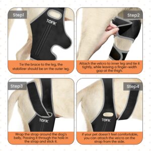 TOFIK Dog Knee Brace for Torn ACL Hind Leg – Premium Neoprene Dog Sling for Large Dogs Hind Leg Support – Washable and Reusable Dog Leg Brace with Flexible Springs (M, Silver)