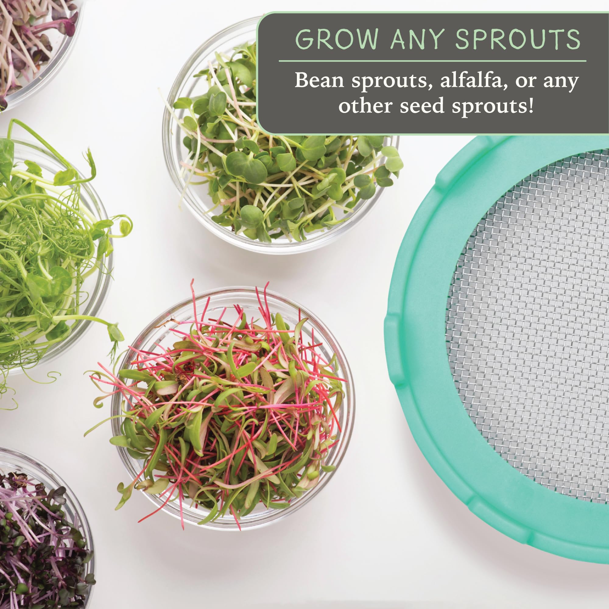 Elementi Sprouting Lids for Wide Mouth Mason Jars (Set of 2), Sprouting Jar Kit for Organic Sprouts, Alfalfa & Mung Bean Sprouts Grow Kit, 316 Stainless Steel Mesh Screen Strainer Lid (Mint Green)