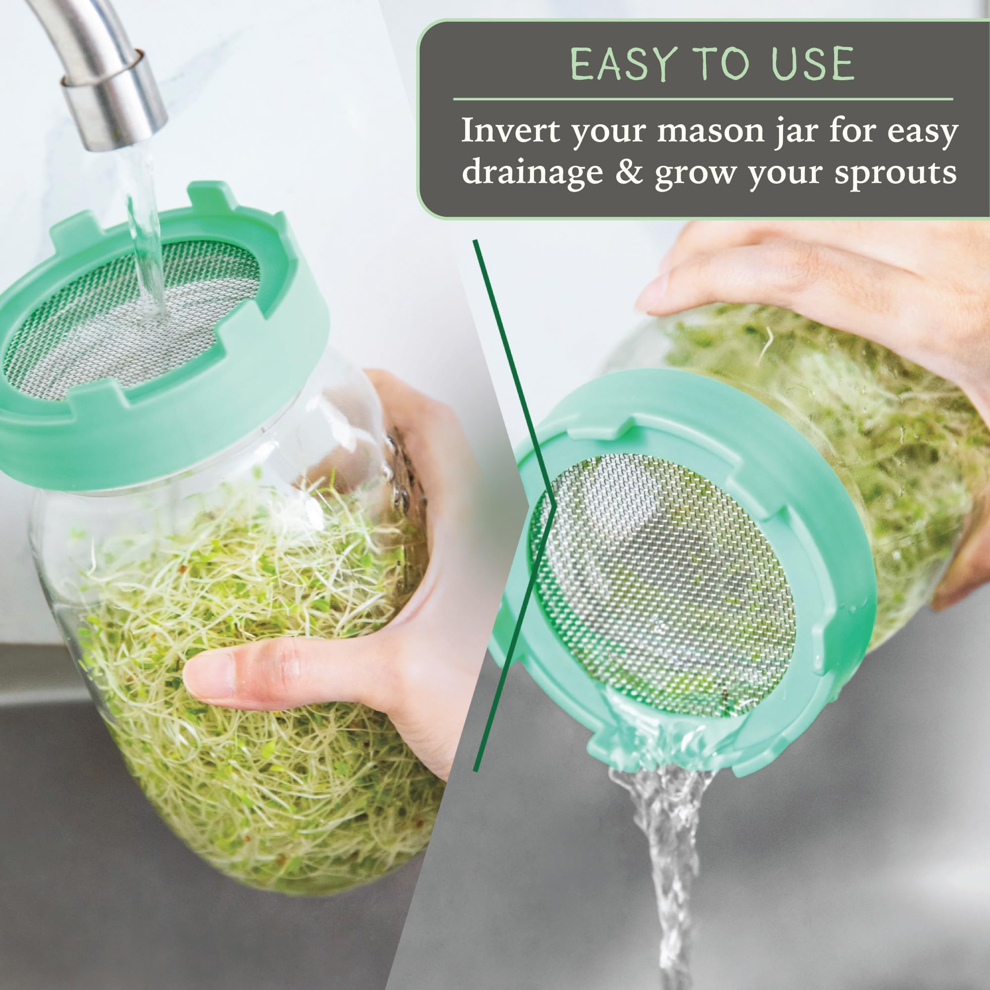 Elementi Sprouting Lids for Wide Mouth Mason Jars (Set of 2), Sprouting Jar Kit for Organic Sprouts, Alfalfa & Mung Bean Sprouts Grow Kit, 316 Stainless Steel Mesh Screen Strainer Lid (Mint Green)