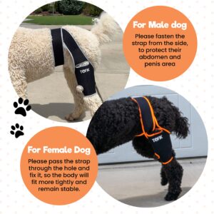 TOFIK Dog Knee Brace for Torn ACL Hind Leg – Premium Neoprene Dog Sling for Large Dogs Hind Leg Support – Washable and Reusable Dog Leg Brace with Flexible Springs (M, Silver)