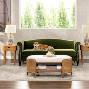 Jennifer Taylor Home Elaine 77" Camel Back Small Space Sofa Olive Green Performance Velvet