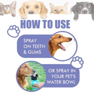 2PCS Pet Teeth Mouth Cleaning Spray, Pet Oral Care Cleaner, Cat & Dog Breath Freshener Spray