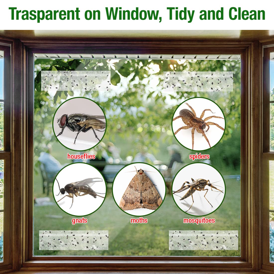 SEEKBIT 40 Pack Sticky Cockroach Traps on The Wall, Window Fly Traps for House, Clear Bug Killer Indoors, Fly Catcher Sticky Trap for Ladybugs, Gnats, Houseflies Glue Traps Keep Flying Insects Away