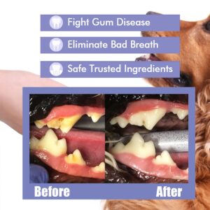 2PCS Pet Teeth Mouth Cleaning Spray, Pet Oral Care Cleaner, Cat & Dog Breath Freshener Spray