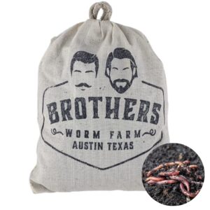 brothers worm farm 1/2 lb european nightcrawlers live worms for fishing & composting (~150 count). larger than red wigglers and great worms for fishing, composting, & gardens