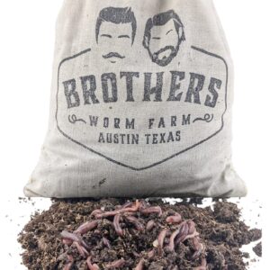 Brothers Worm Farm 1/2 Lb European Nightcrawlers Live Worms for Fishing & Composting (~150 Count). Larger Than Red Wigglers and Great Worms for Fishing, Composting, & Gardens