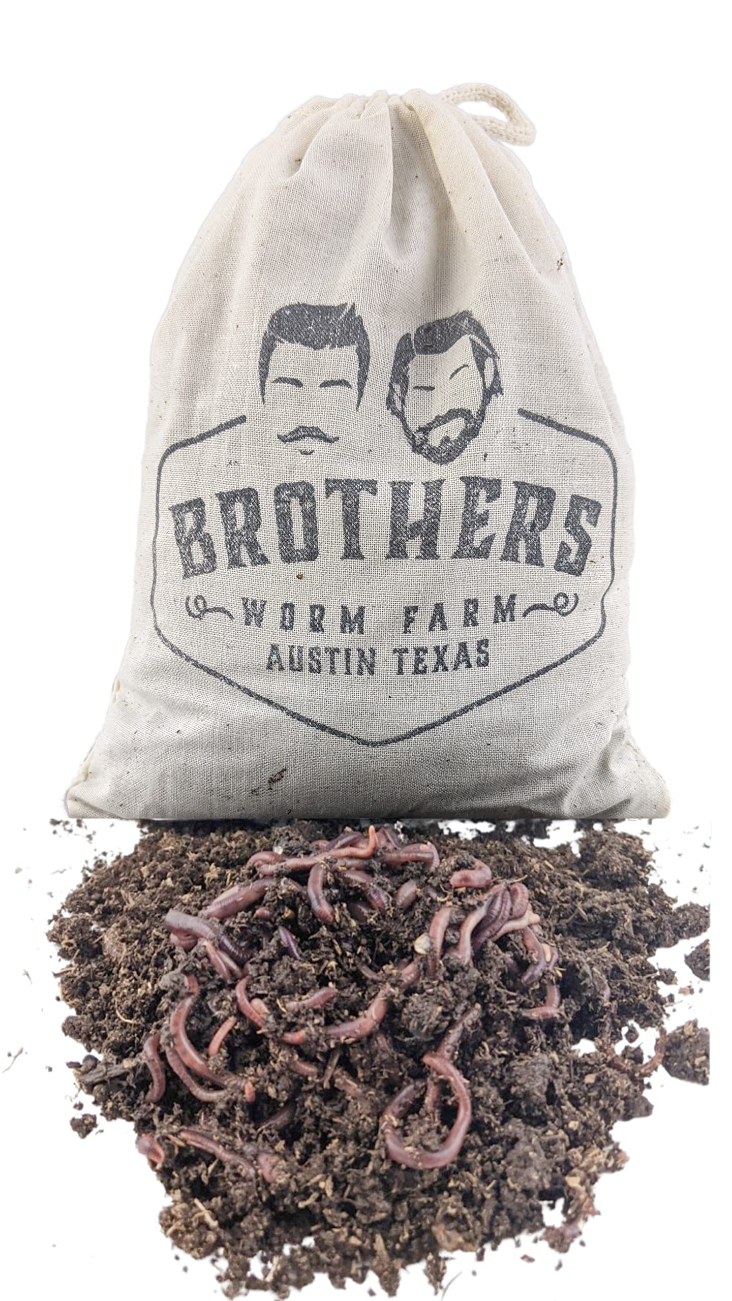 Brothers Worm Farm 1/2 Lb European Nightcrawlers Live Worms for Fishing & Composting (~150 Count). Larger Than Red Wigglers and Great Worms for Fishing, Composting, & Gardens