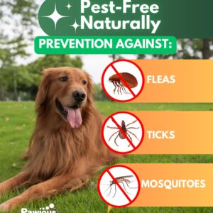 Flea and Tick Prevention for Dogs Chewables - Natural Dog Flea and Tick Control Supplement - Flea & Tick Chews for Dogs - All Life Stages - Made in USA