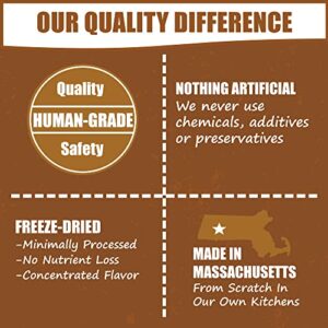 Whole Life Pet Freeze Dried Diced Eggs for Dogs and Cats. Fully Cooked Just Add Water. Healthy Skin, Strong Bones, Picky Eaters. Human Grade Quality