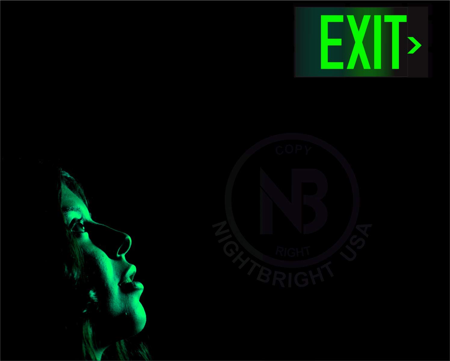 Photoluminescent Exit Sign Black - Aluminum - UL 924 Code Approved/IBC/NFPA 101 | NightBright USA Part Number ULB-050