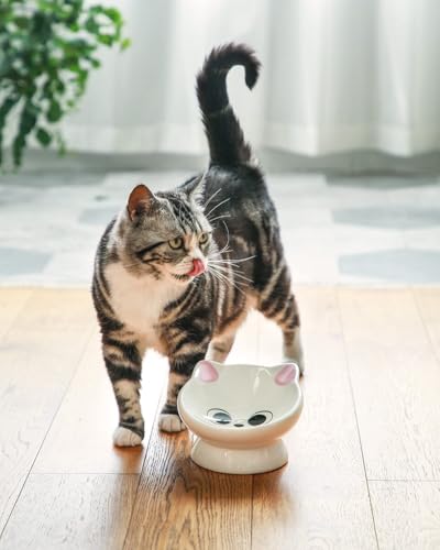 Raised Cat Food Bowl Ceramic 15° Tilted Cat Food Bowls Protect Cat's Spine Anti Vomiting Backflow Prevention Cat Bowls for Adult Cats, Kitten, and Small Dogs, Pink