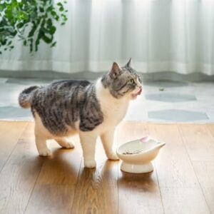 Raised Cat Food Bowl Ceramic 15° Tilted Cat Food Bowls Protect Cat's Spine Anti Vomiting Backflow Prevention Cat Bowls for Adult Cats, Kitten, and Small Dogs, Pink