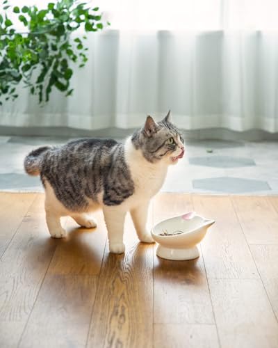 Raised Cat Food Bowl Ceramic 15° Tilted Cat Food Bowls Protect Cat's Spine Anti Vomiting Backflow Prevention Cat Bowls for Adult Cats, Kitten, and Small Dogs, Pink