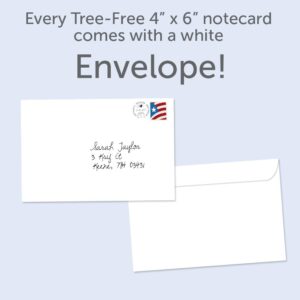 Tree-Free Greetings Thank You Cards - Artful Designs - 12 Cards + White Envelopes - Made in USA - 100% Recycled Paper - 4"x6" - Greatest Kindness (TK60294)