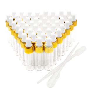 BEGIKET 50PCS Transparent Sample Dropper Bottles, 5ml Mini Essential Oil Dropper Bottles, Perfume Bottles with 2 Plastic Droppers for Travel Test Samples