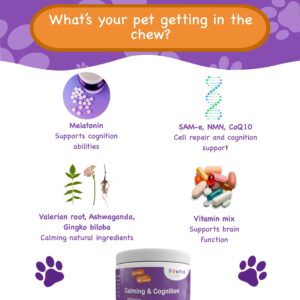 PawPuk Paws Calming & Cognition Supplement for Dogs, Melatonin SAM-E NMN & CoQ10 - Cognition Supp., Valerian Root Ashwagandha Gingo Biloba - Calming Natural Ingredients, Brain Function