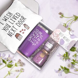 Best Friend Birthday Gifts for Women - Unique Spa Basket Friendship Gifts for Women, Sister, Bestie, BFF (Purple)