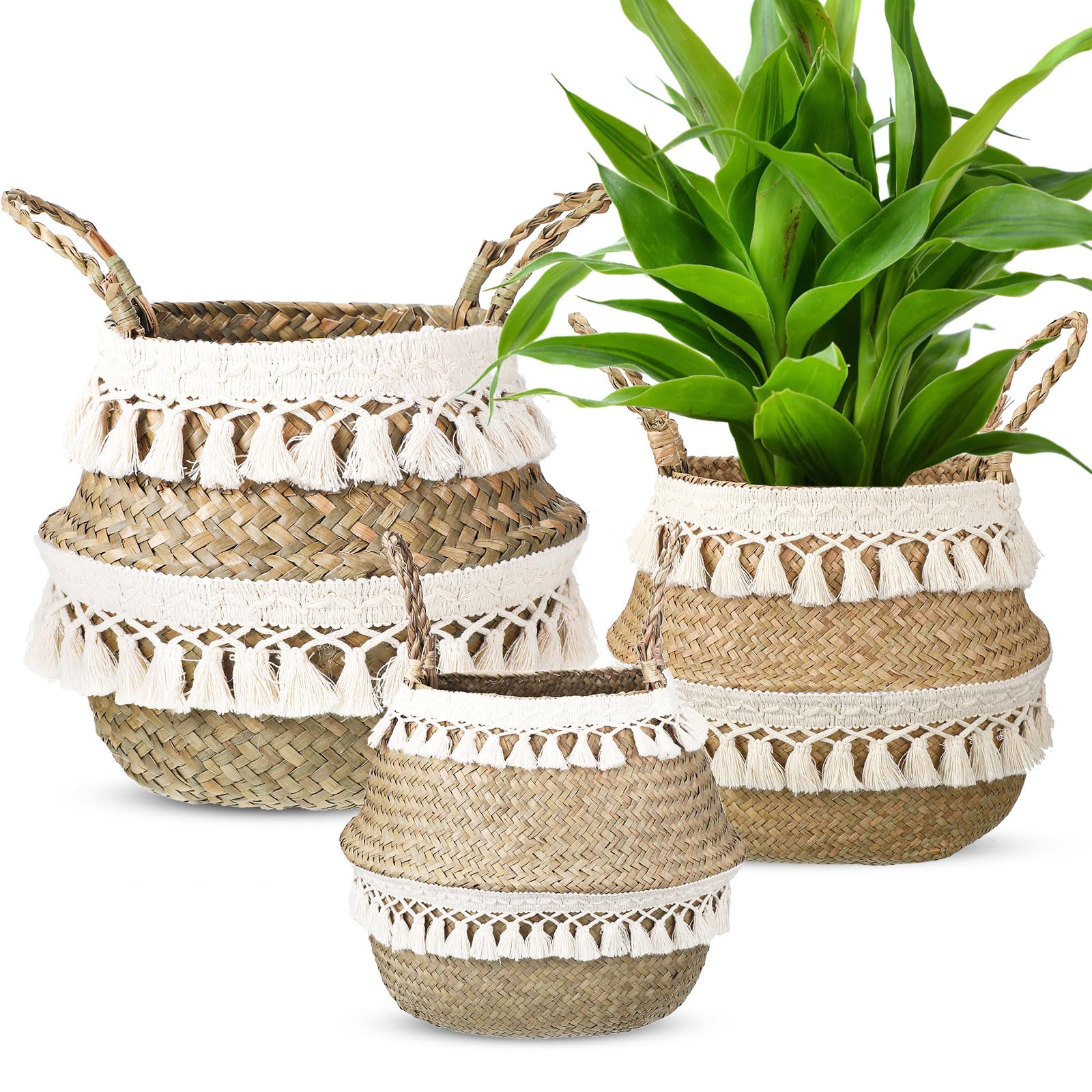 Wesiti Set of 3 Boho Seagrass Belly Basket Natural Storage Plant Basket Plant Pot Woven Plant Basket with Handles and Tassels for Living Bathroom Laundry Toy Grocery Storage, Small, Medium and Large