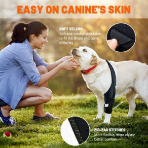 Dog Knee Brace for Torn Acl Hind Leg, Dog Leg Brace with Harness and Connection Belt, Support for Knee Cap Dislocation, Arthritis, Torn ACL Hind Leg (S（Thigh Girth 4.7″-8.9″, Leg Height 2″-6.9″）)