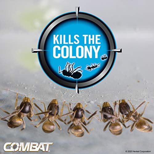 Combat Indoor and Outdoor Ant Killing Gel, 27 Gram (Pack of 2)