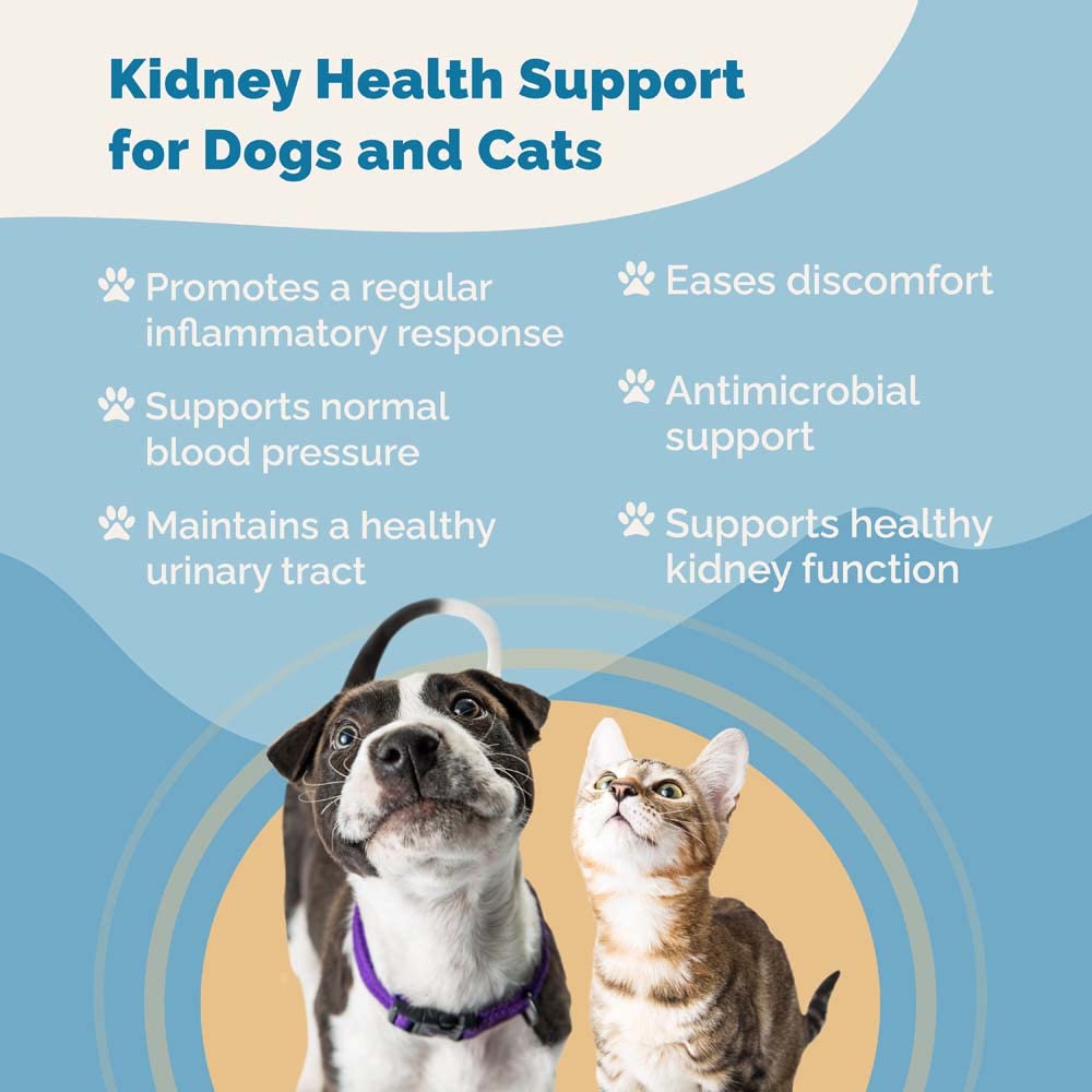 Kidney Immunity Regimen | Kidney Health Support & Immunity Blend Supplements for Cats and Dogs | Naturally Promotes Healthy Kidney Function in Dogs & Cats |