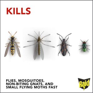 Raid Flying Insect Killer,15 Ounce (Pack of 4)