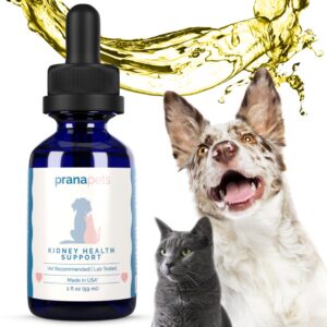 Kidney Immunity Regimen | Kidney Health Support & Immunity Blend Supplements for Cats and Dogs | Naturally Promotes Healthy Kidney Function in Dogs & Cats |