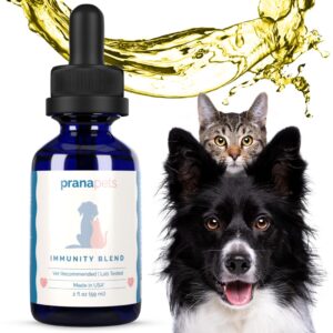 Kidney Immunity Regimen | Kidney Health Support & Immunity Blend Supplements for Cats and Dogs | Naturally Promotes Healthy Kidney Function in Dogs & Cats |