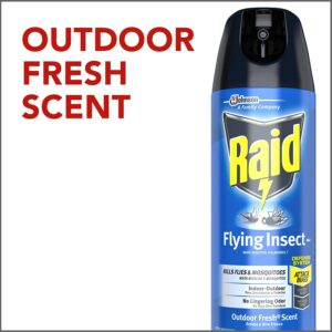 Raid Flying Insect Killer,15 Ounce (Pack of 4)