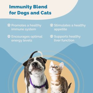 Kidney Immunity Regimen | Kidney Health Support & Immunity Blend Supplements for Cats and Dogs | Naturally Promotes Healthy Kidney Function in Dogs & Cats |