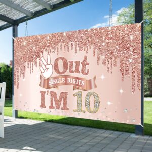 Large 10 Years Old Birthday Banner Decorations for Girls, Pink Rose Gold 10th Birthday Backdrop Party Supplies, Out Single Digits I'm 10 Bday Poster Background Sign Decor