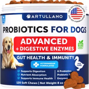 probiotics for dogs - support gut health, itchy skin, allergies, immunity, yeast balance - dog probiotics and digestive enzymes with prebiotics - reduce diarrhea, gas - 120 probiotic chews for dogs